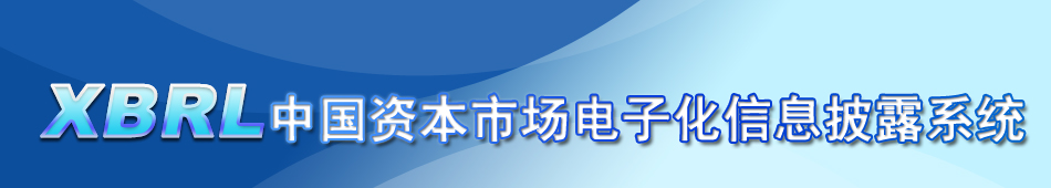 XBRL,�������